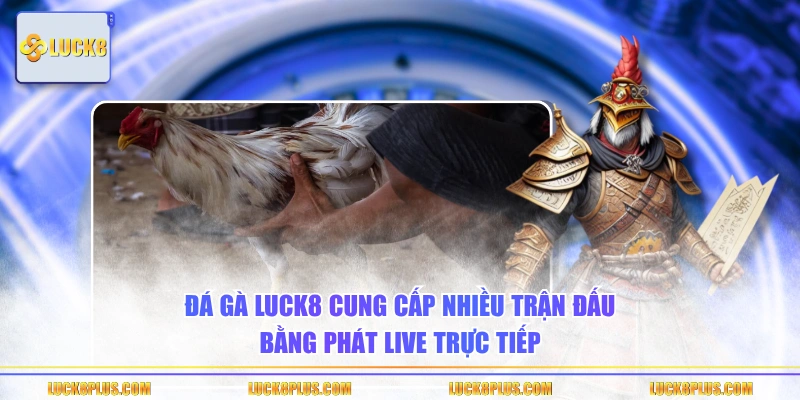 Đá gà LUCK8 cung cấp nhiều trận đấu bằng phát live trực tiếp