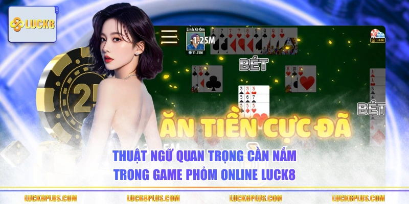 Thuật ngữ quan trọng cần nắm trong game Phỏm online LUCK8