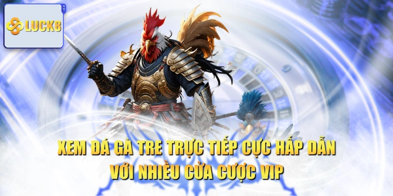 Xem Đá Gà Tre Trực Tiếp Cực Hấp Dẫn Với Nhiều Cửa Cược Vip